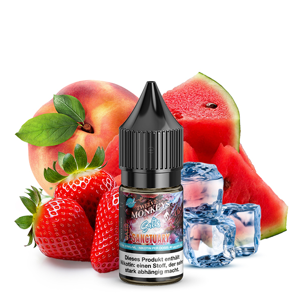 TWELVE MONKEYS Sanctuary Iced Nikotinsalz Liquid 20mg/ml - 10ml