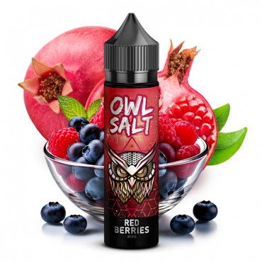 OWL Salt Red Berries Aroma Longfill 10ml