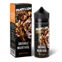 DAMPFLION INTENSE Orange Menthol Aroma 10ml