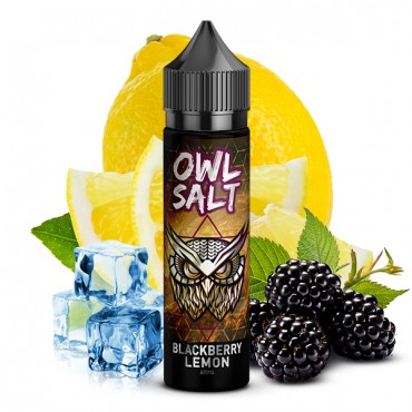 OWL Salt Blackberry Lemon Aroma Longfill 10ml