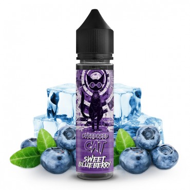 COPY CAT Overdosed Cat Sweet Blueberry Aroma Longfill 10ml