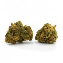 SANALEO CBD Blüten Strawberry Haze 1g