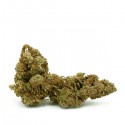 SANALEO CBD Blüten Amnesia Haze 1g
