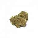 SANALEO CBD Blüten OG Kush 1g