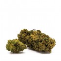 SANALEO CBD Blüten Gelato 1g