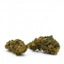 SANALEO CBD Blüten Jack Herer 1g